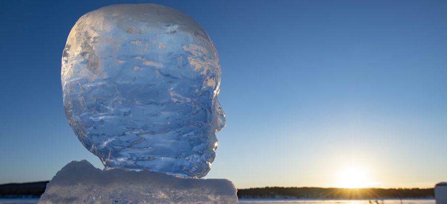 Bild på ett huvud av is i solnedgång, vinterlandskap.