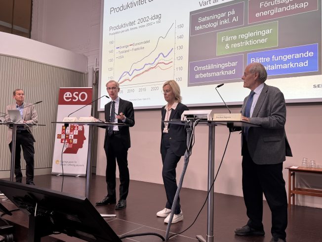 Bild från panelsamtalet på ESO-seminariet.
